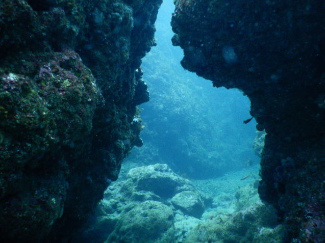 e0115199_14231889.jpg