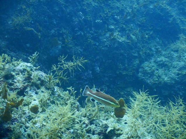 e0115199_14243205.jpg