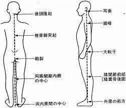 あなたの筋肉バランスは整っていますか_b0179402_13165798.jpg