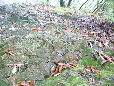 e0366602_02041496.jpg