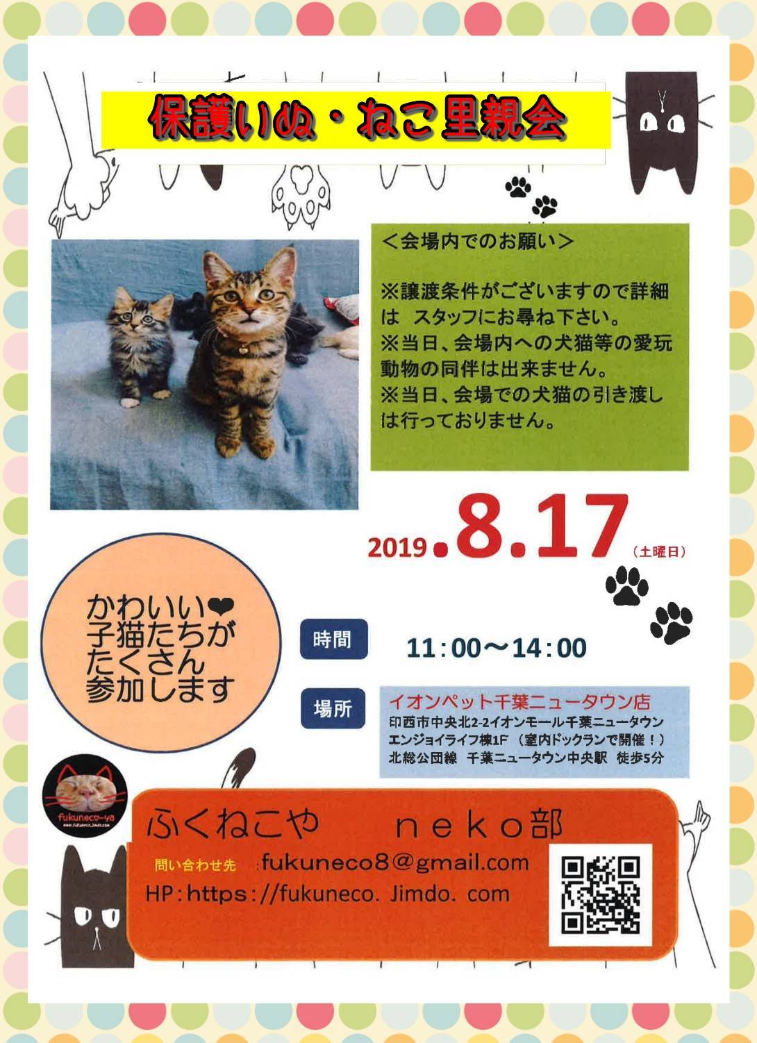 ひまわりちゃん、里親会に参加!_f0242002_09442331.jpg