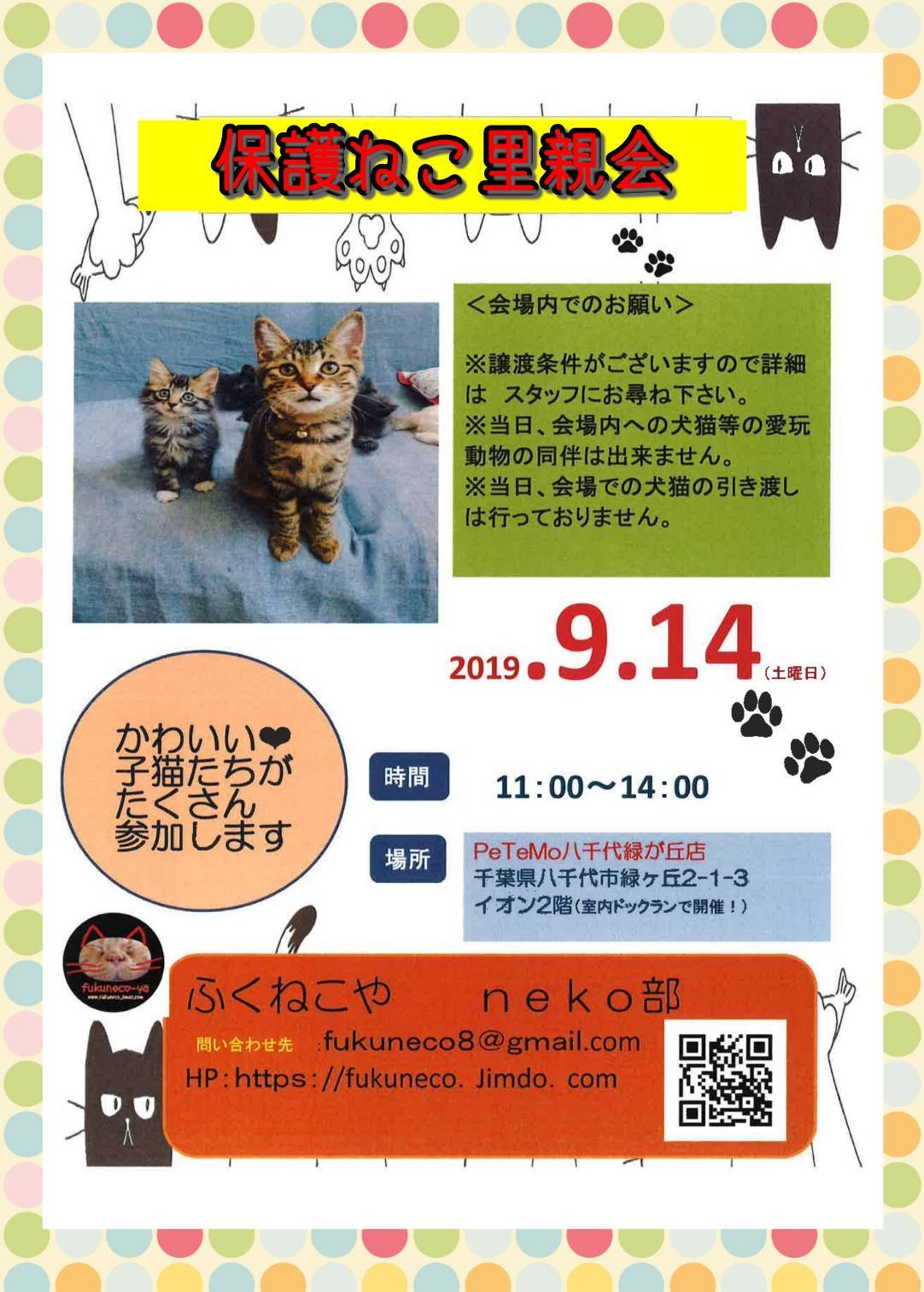 ひまわりちゃん、里親会に参加!_f0242002_09442889.jpg