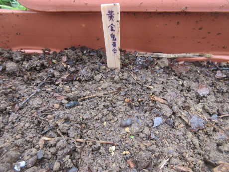 a0203003_21541100.jpg