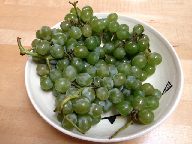 a0331910_12251519.jpg