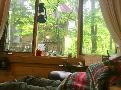 d0179410_14111552.jpeg