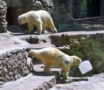 ウクライナ・ムィコラーイウ動物園のジフィルカと一歳半のスメタンカの親子の近況_a0151913_142409.jpg
