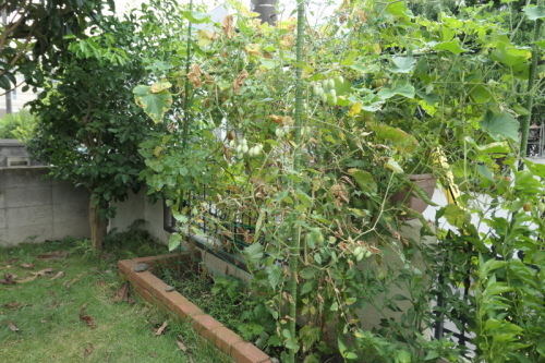 f0369014_21280131.jpg