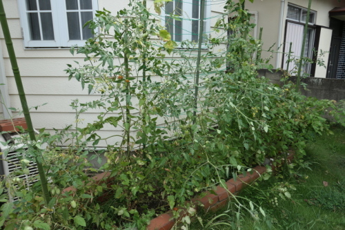 f0369014_21281405.jpg