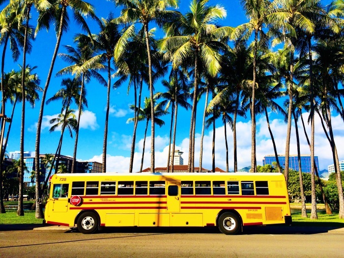 Beautiful moments in Hawaiʻi_c0172615_11301528.jpeg