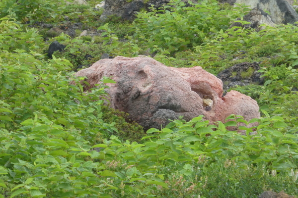d0170615_20414276.jpg