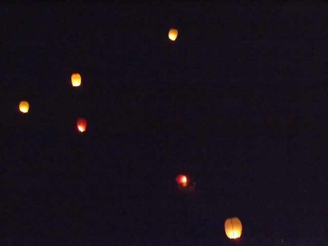 ナイトサファリも堪能！「上山集落の夏祭り」_d0295818_21461639.jpg