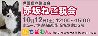 8/13訪問レポート・引き出し編_f0078320_15080185.jpg