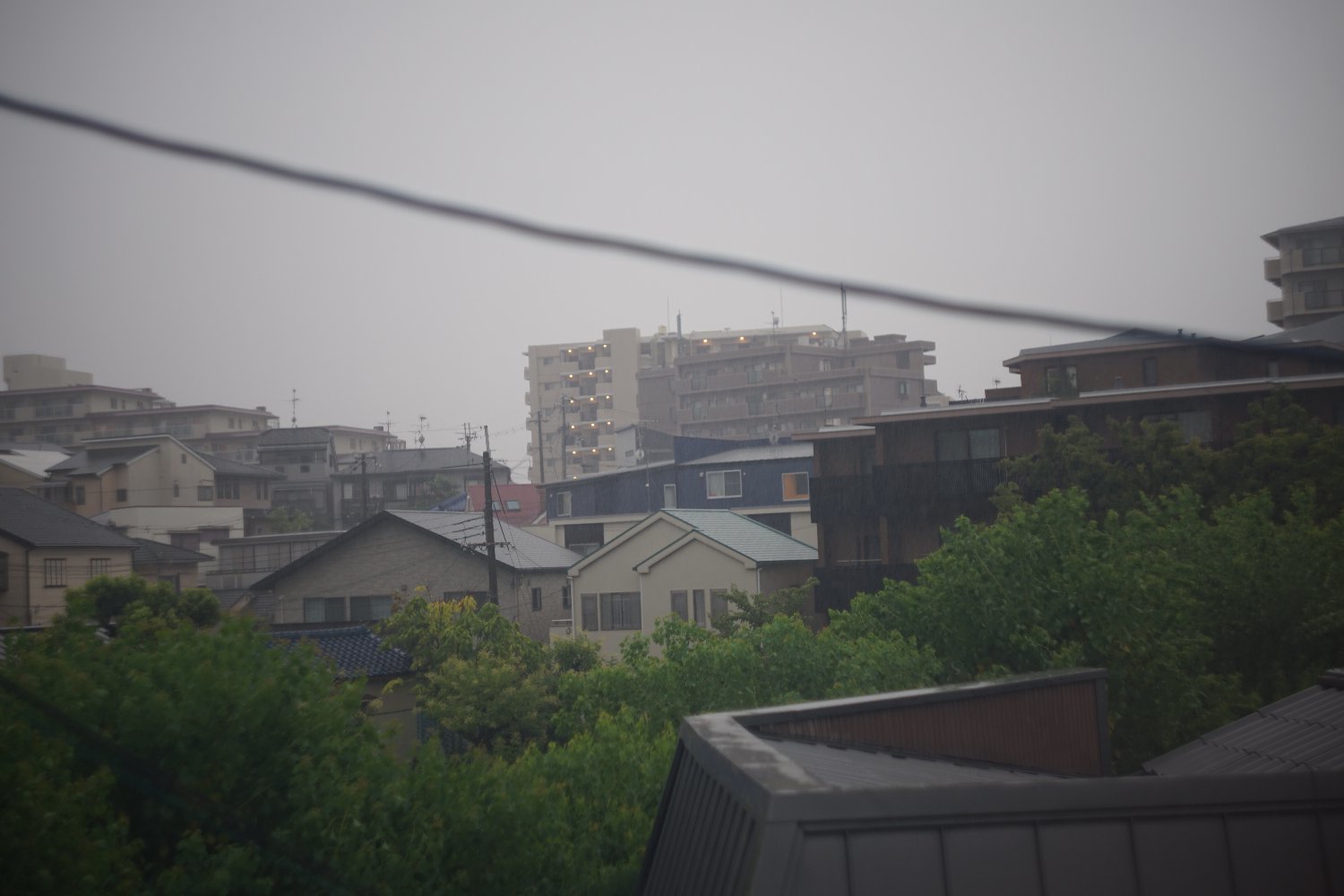 b0069128_12262189.jpg