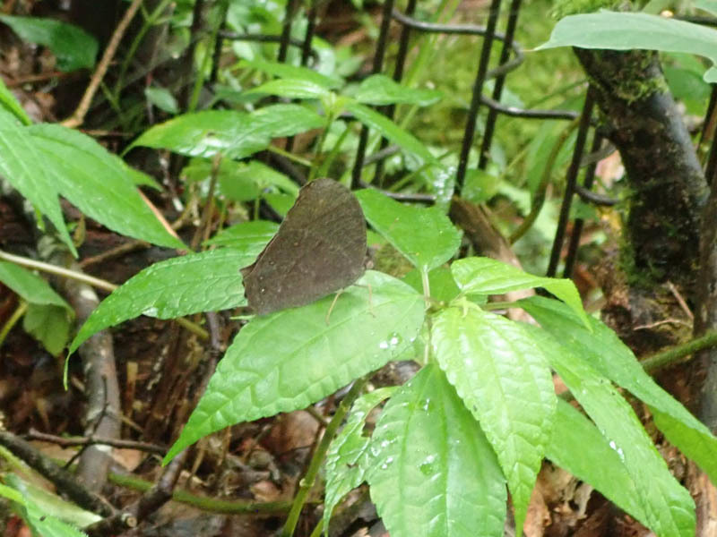 f0177529_22414625.jpg