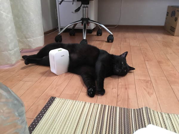 うしみつどきの悪夢_a0099131_01274876.jpg