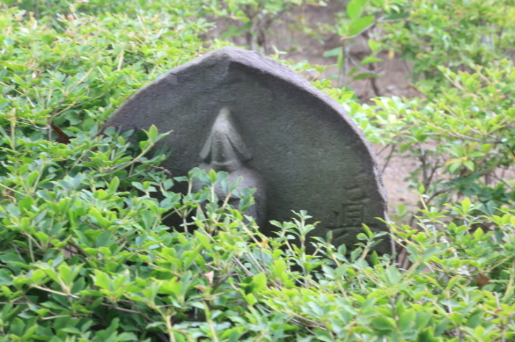 f0229832_08420703.jpg