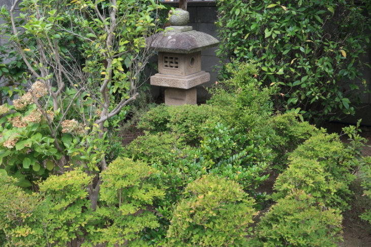 f0229832_08422718.jpg