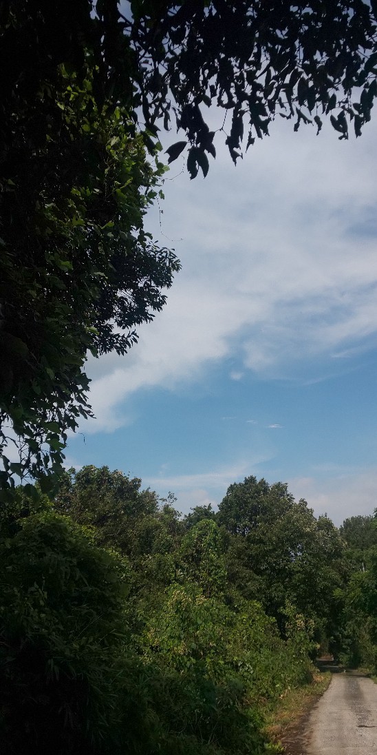e0376933_22453347.jpg