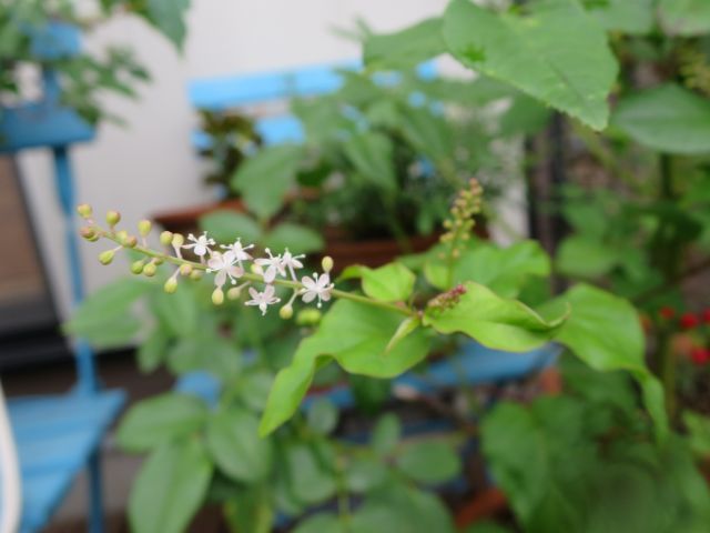 b0178339_14580113.jpg
