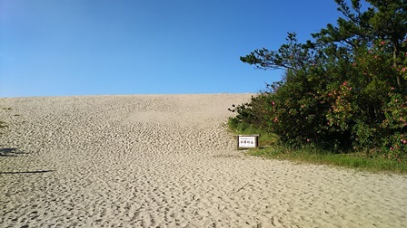 b0080342_08542213.jpg