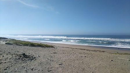 b0080342_08544915.jpg