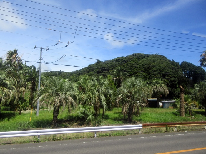【房総半島一周】館山から海沿いに安房鴨川まで【内房線】_b0009849_183404.jpg