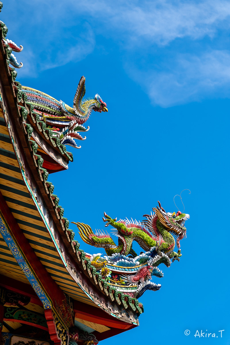 台湾 -8- 〜龍山寺〜_f0152550_15130764.jpg