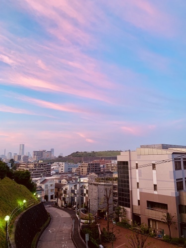 b0307951_23474278.jpg