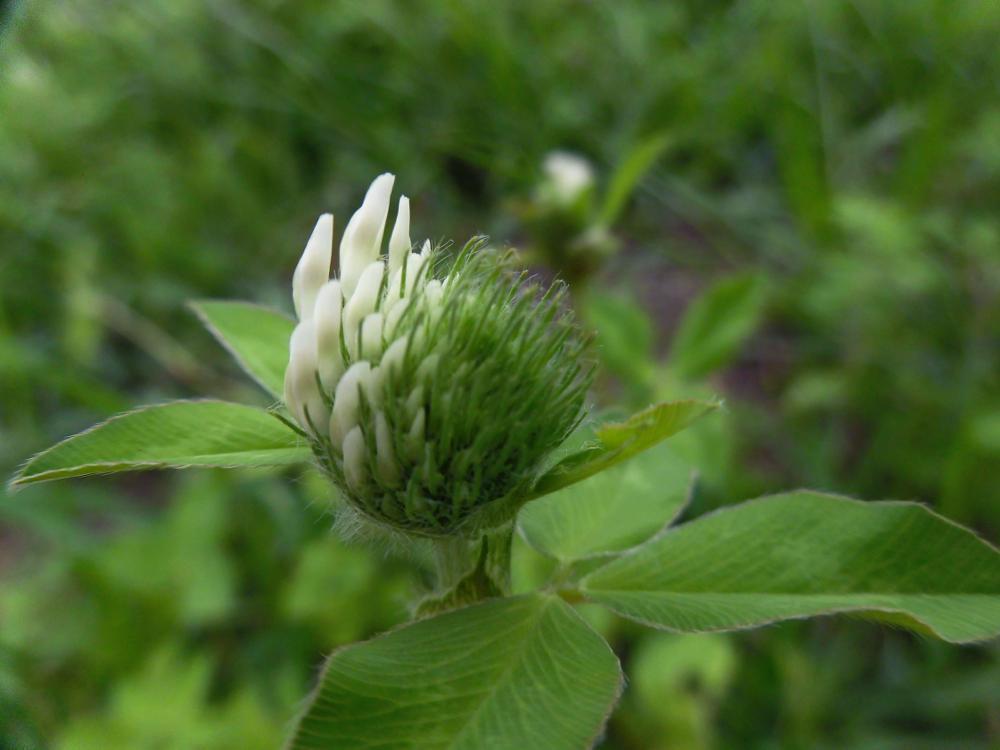 e0024554_17525211.jpg