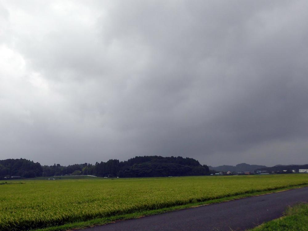 e0024554_17530765.jpg