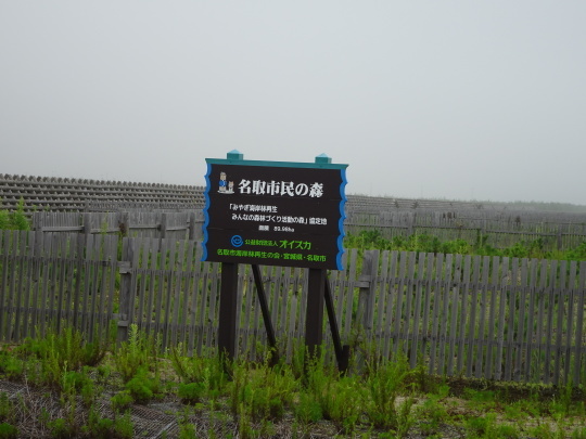 e0140354_15144532.jpg