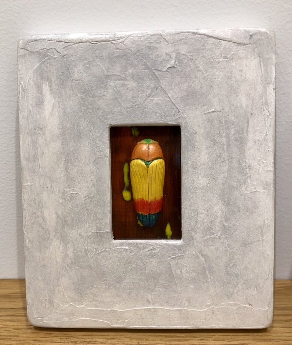 昆虫標本 Musee De M
