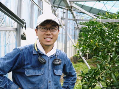 究極の柑橘「せとか」 匠の摘果作業で今年も元気な夏芽が芽吹いています!_a0254656_18534794.jpg