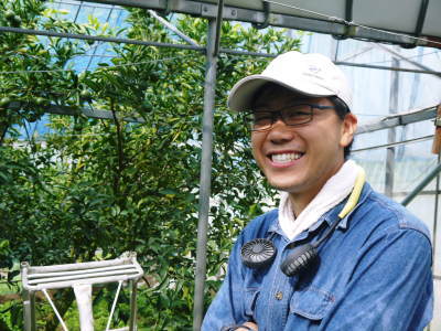 究極の柑橘「せとか」 匠の摘果作業で今年も元気な夏芽が芽吹いています!_a0254656_19053436.jpg