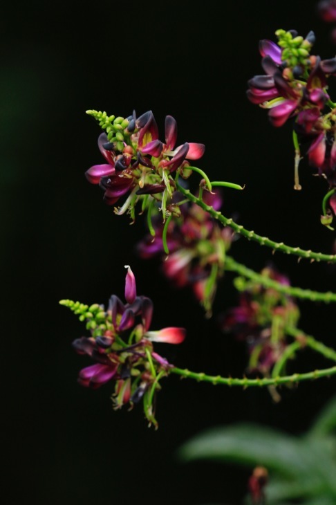 a0248459_14171039.jpg