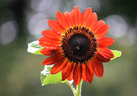a0248459_14200665.jpg