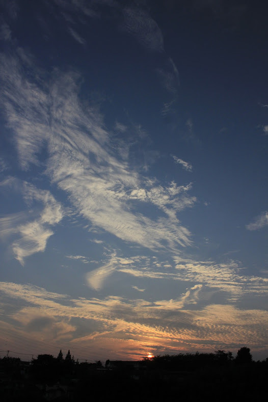 a0248459_14223454.jpg