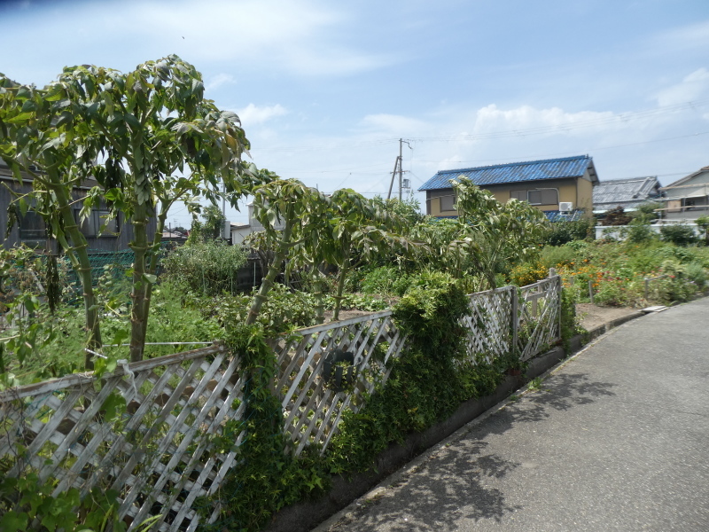 c0108460_16441274.jpg