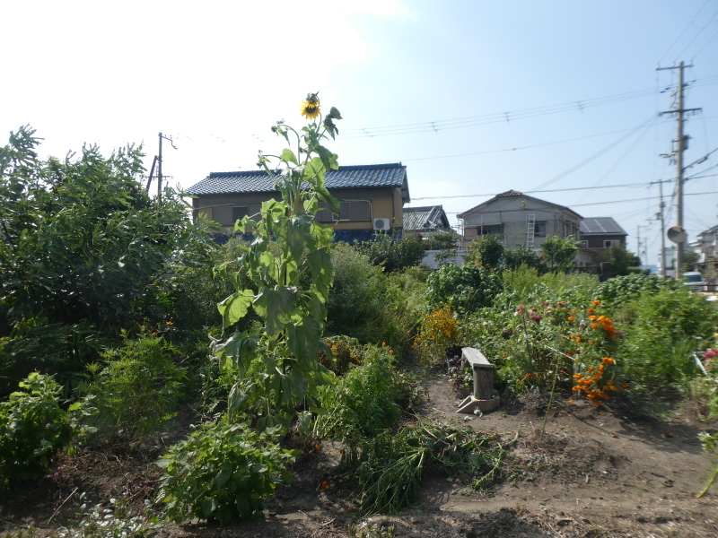 c0108460_16471620.jpg