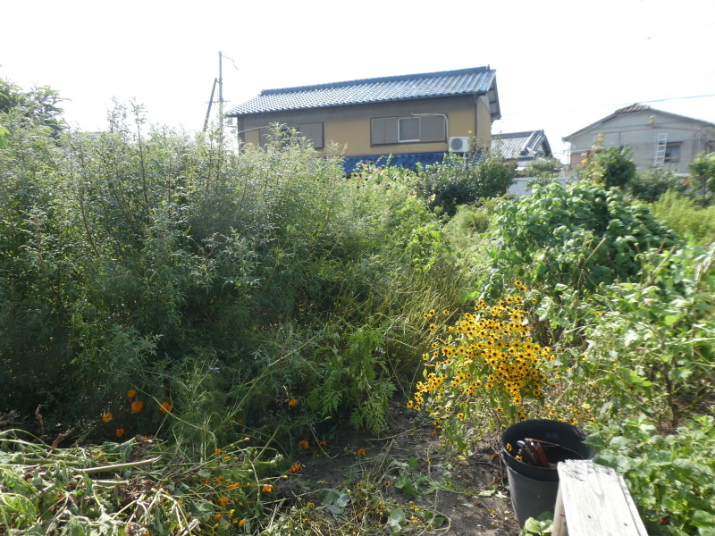 c0108460_16493736.jpg