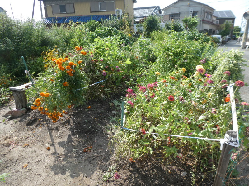 c0108460_16493891.jpg