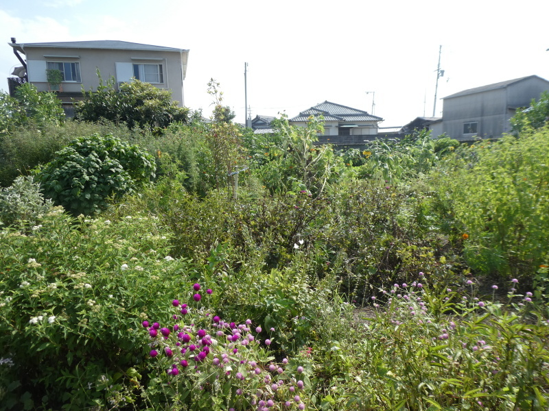c0108460_16564084.jpg