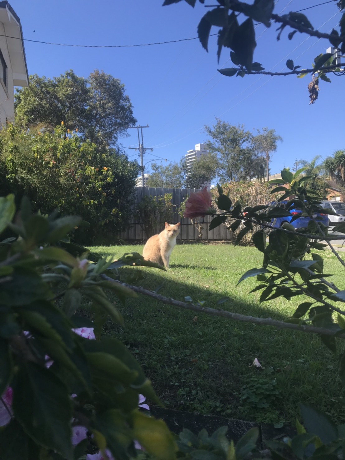 a0053063_15140332.jpeg