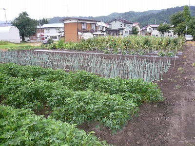 d0074063_07423207.jpg