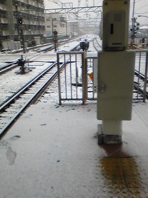 関東で朝から雪_e0412164_11254081.jpg