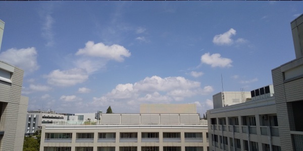 f0061067_16434154.jpg