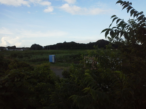 b0155973_20275250.jpg