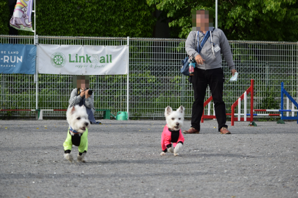 b0242873_22515879.png