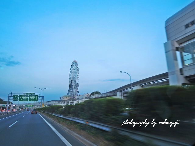 f0295481_12312450.jpg