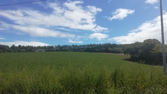 c0212083_19233050.jpg